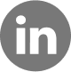 Linkedin icon