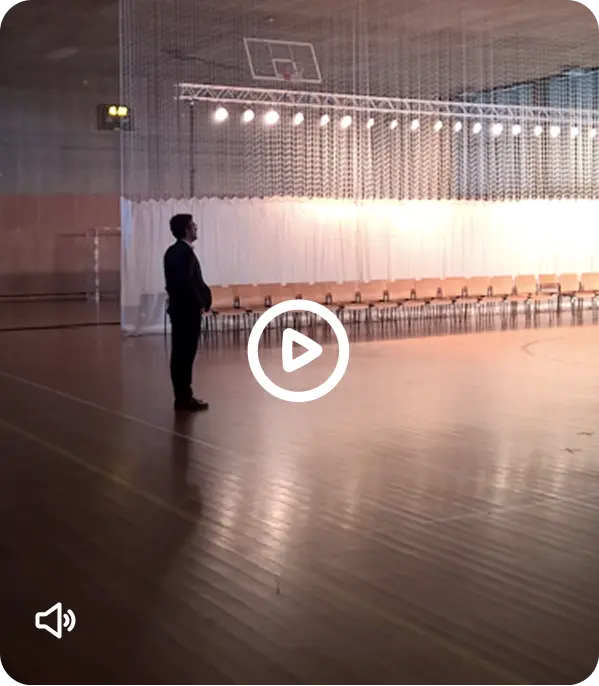 Video Ad